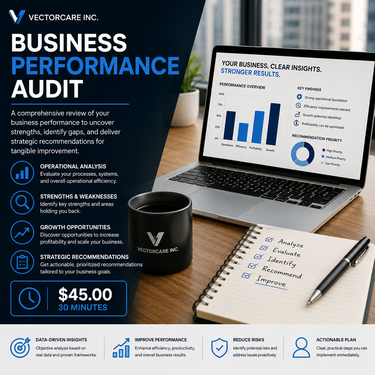 Business Performance Audit